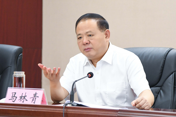省政府食安辦主任、省市場監(jiān)管局書記馬林青講話